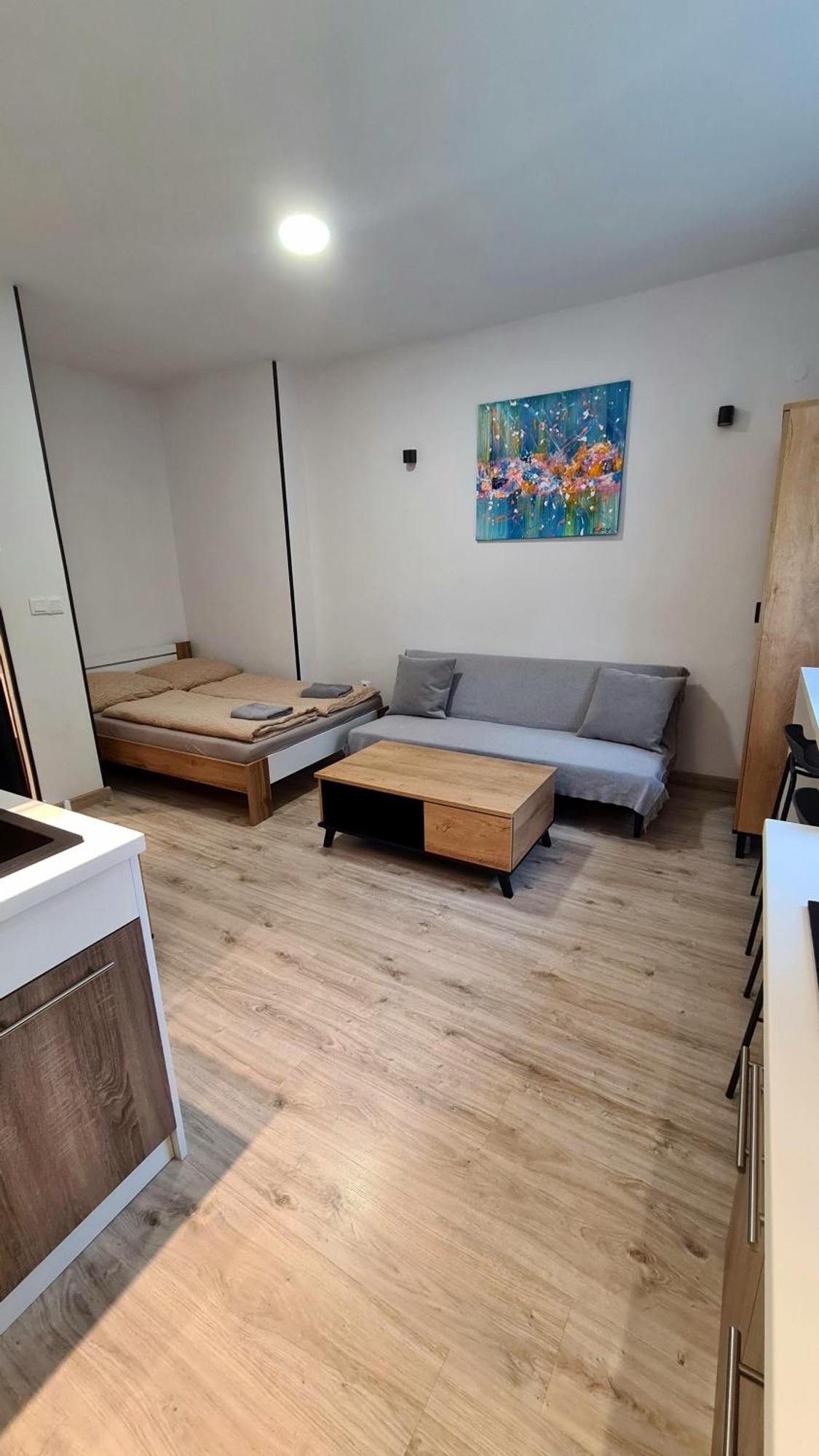 Apartman Bb-Centrum2 بانْشكا بيشتريتْسا المظهر الخارجي الصورة