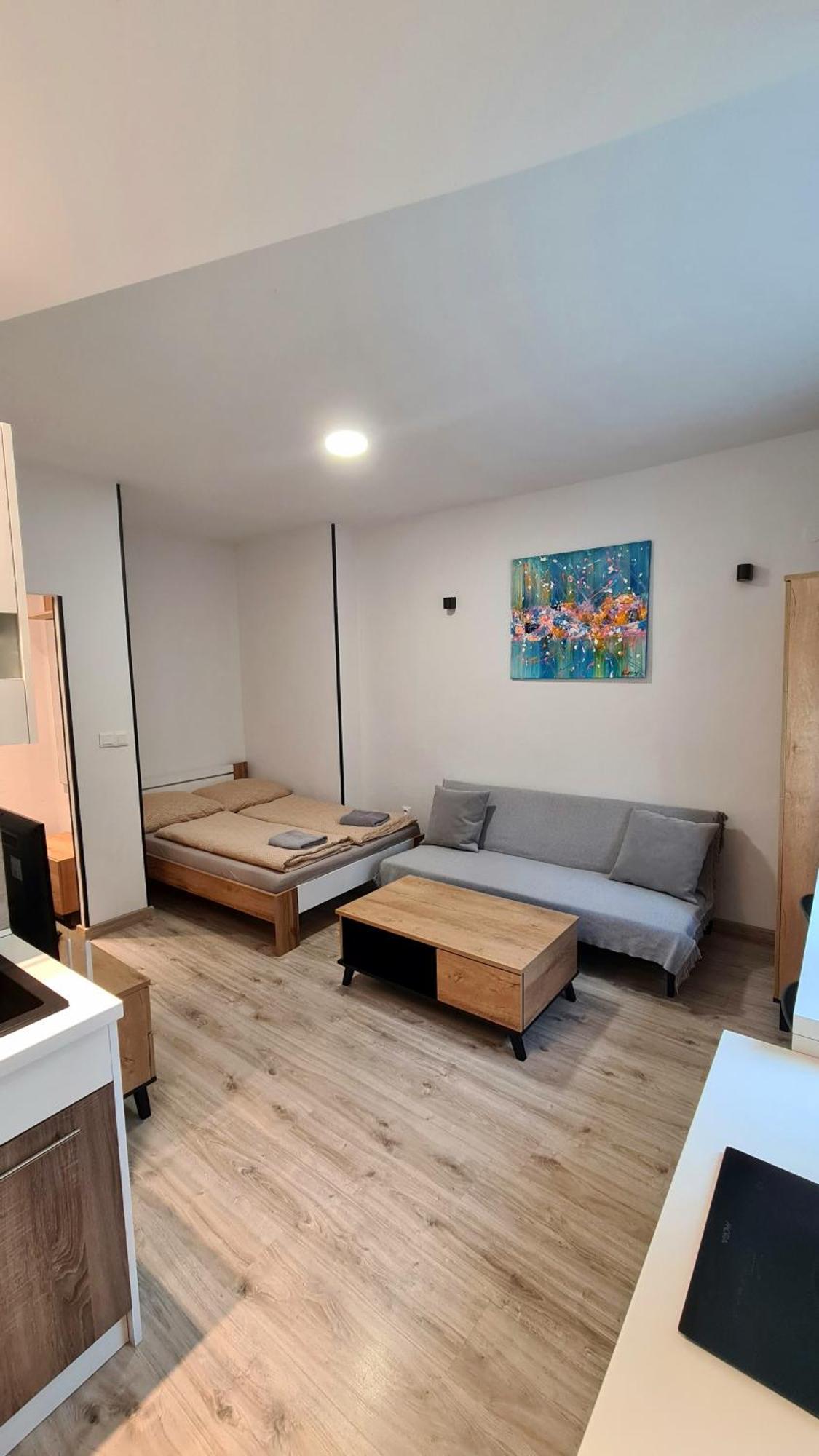 Apartman Bb-Centrum2 بانْشكا بيشتريتْسا المظهر الخارجي الصورة