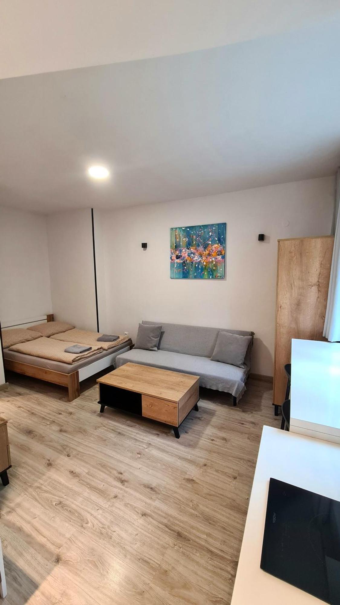 Apartman Bb-Centrum2 بانْشكا بيشتريتْسا المظهر الخارجي الصورة
